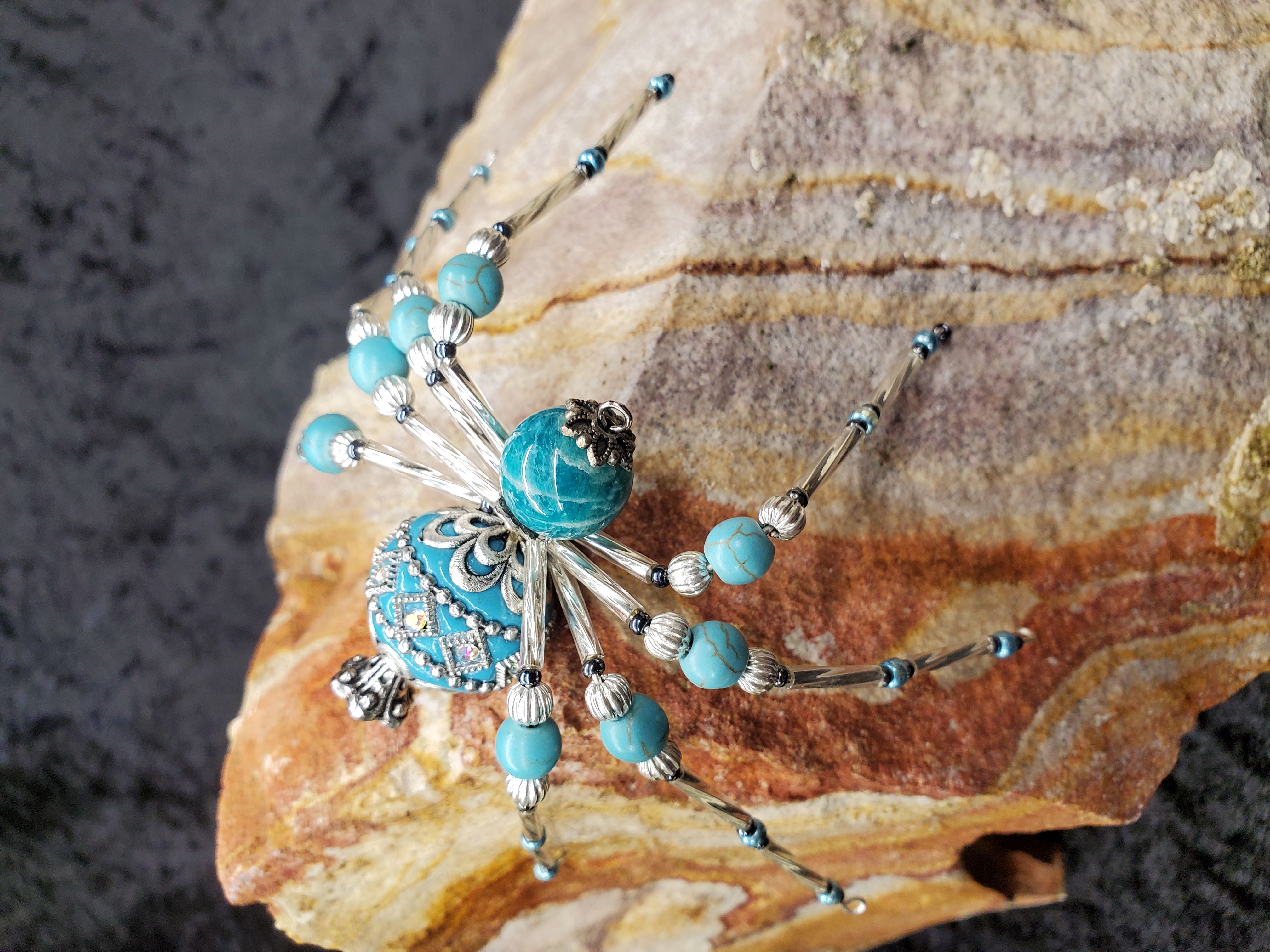 Ocean Dream Spider displayed on natural stone background showing scale and natural setting