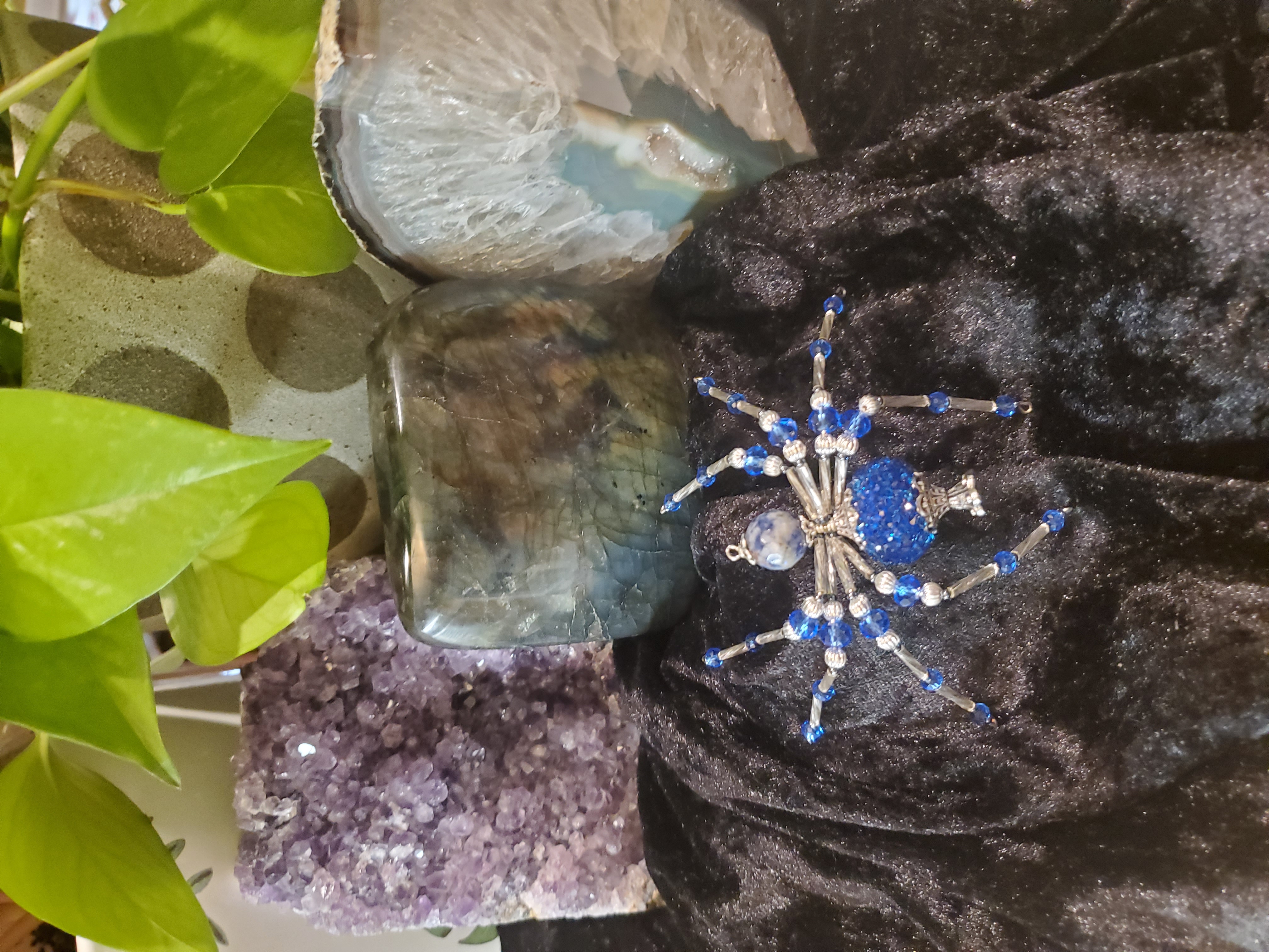 Peacock Pride Spider with crystal background showing iridescence
